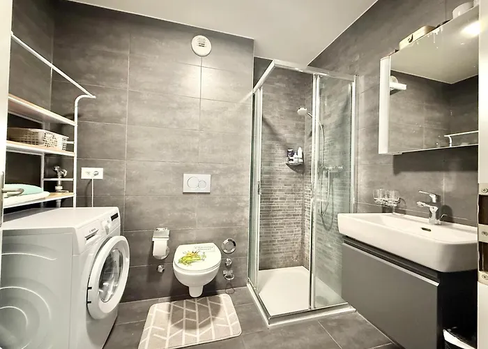 Contemporain 3 Pieces Et Demi Apartment Montreux