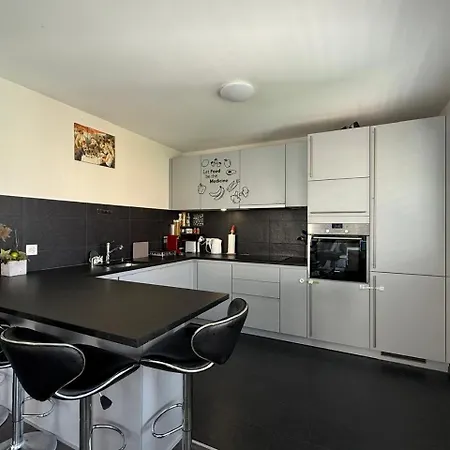 Apartment Contemporain 3 Pieces Et Demi Montreux